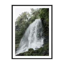 Комплект постерів в рамках "Jungle"