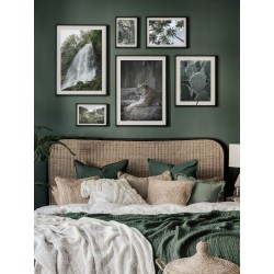 Комплект постерів в рамках "Jungle"