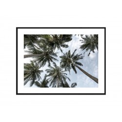 Комплект постерів в рамках "Jungle"