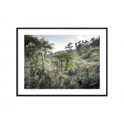 Комплект постерів в рамках "Jungle"