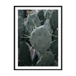 Комплект постеров в рамках "Jungle"