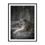 Комплект постеров в рамках "Jungle" Комплект постеров в рамках "Jungle"