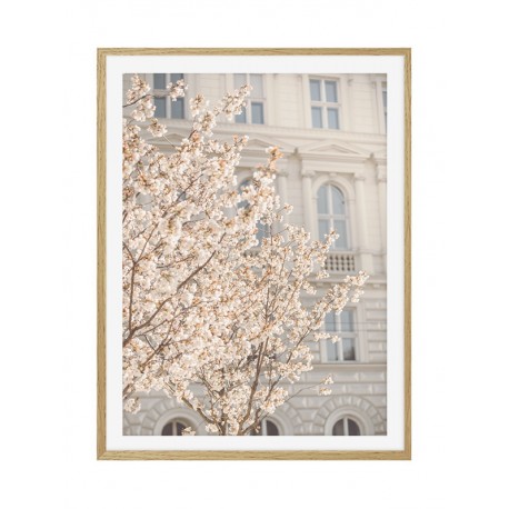 Постер "Spring"