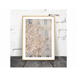 Постер "Spring"