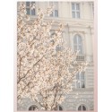 Постер "Spring"