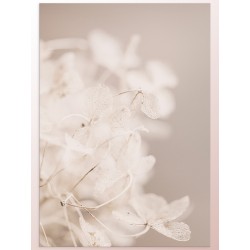Постер "Plant"