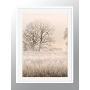 Постер "Fog"