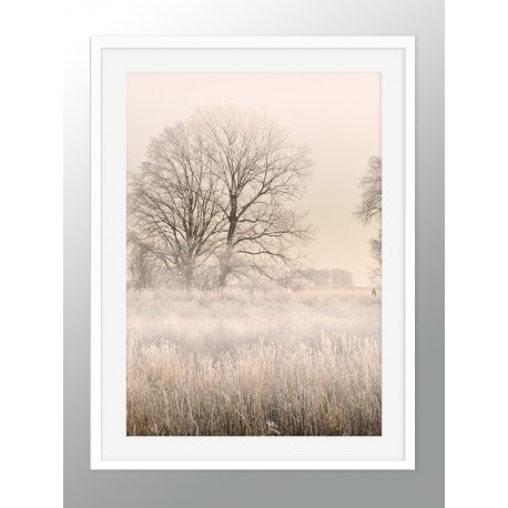 Постер "Fog"