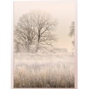 Постер "Fog"