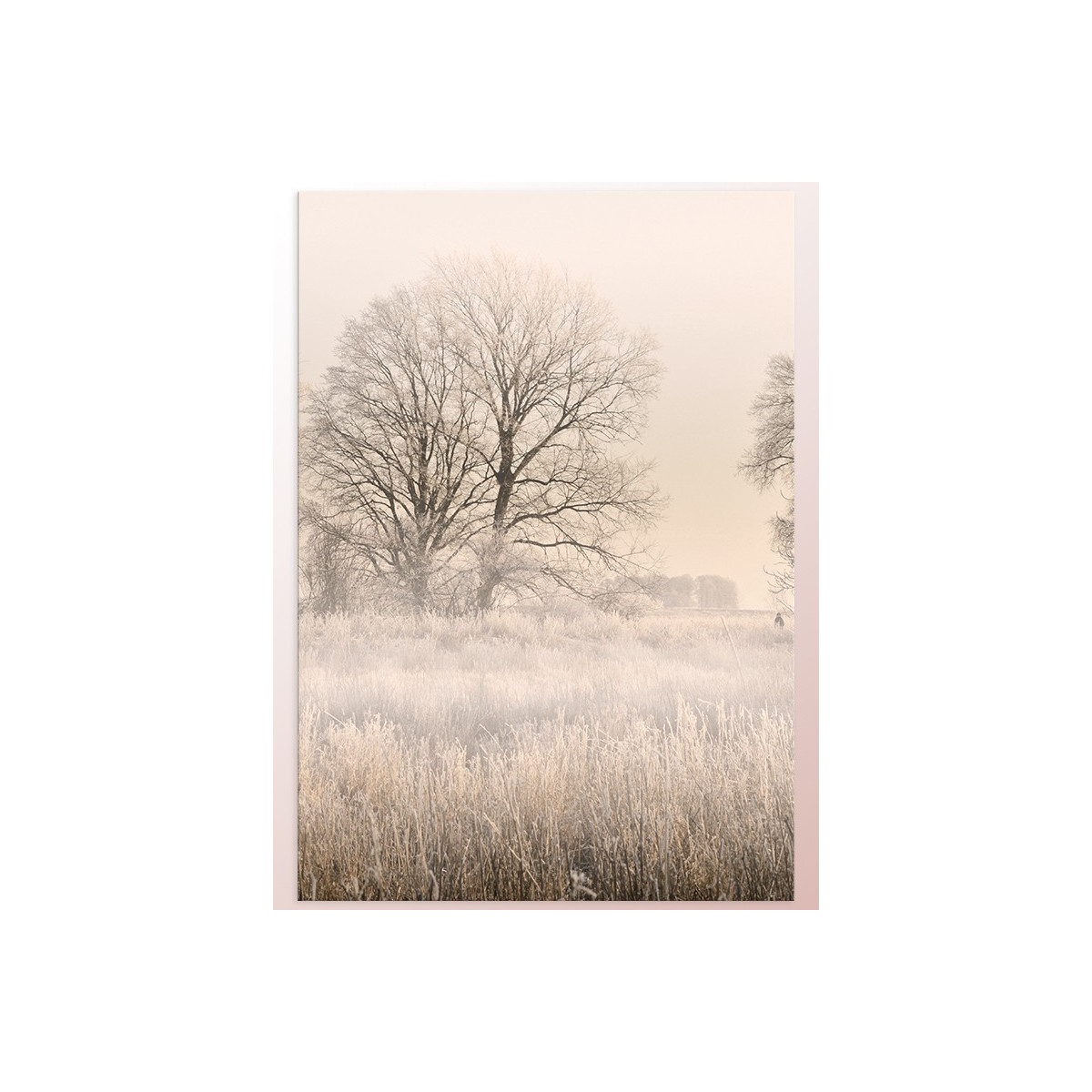 Постер "Fog"