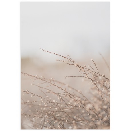 Постер "Grass"