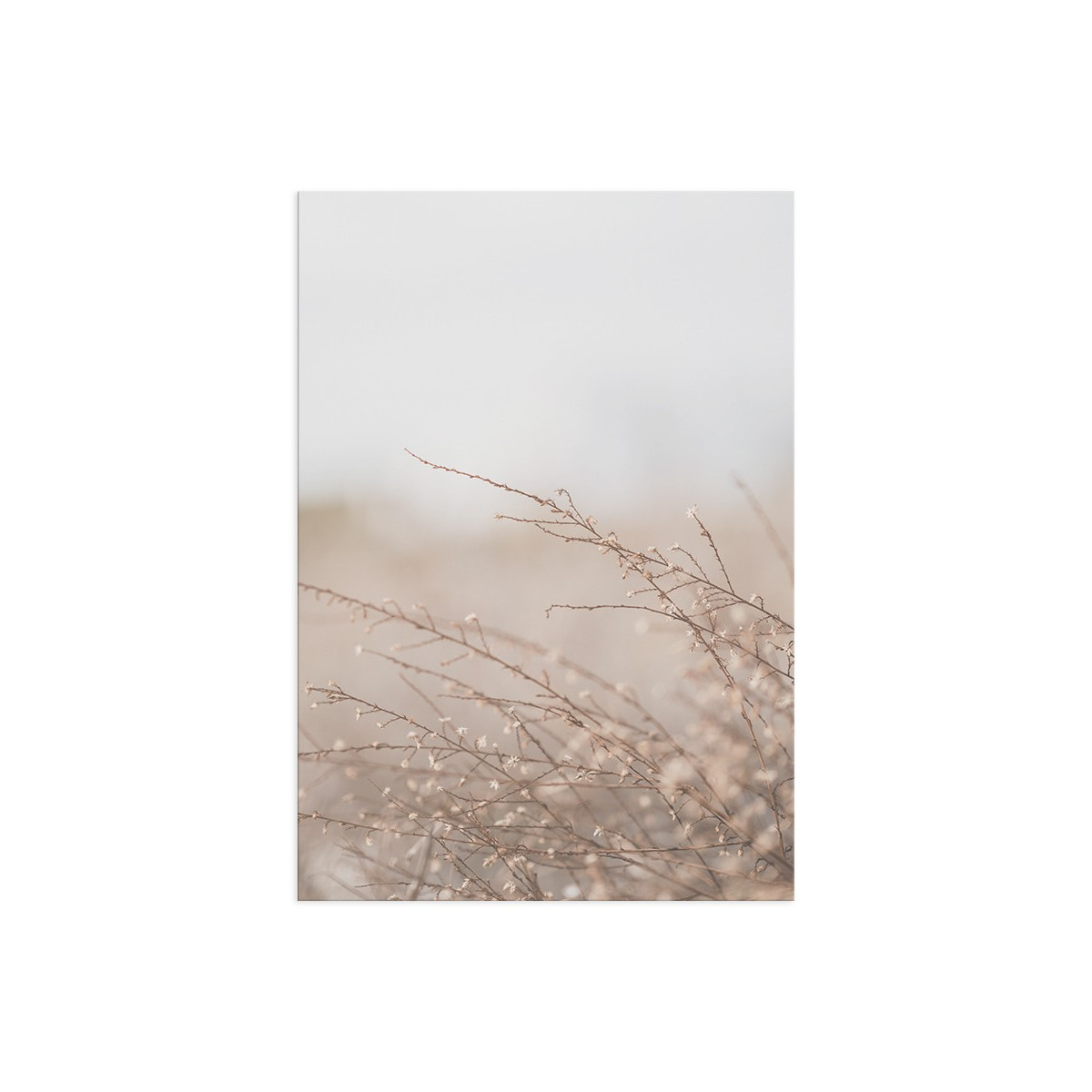Постер "Grass"