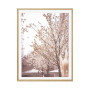 Постер "Blooming tree"