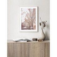 Постер "Blooming tree"