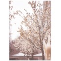 Постер "Blooming tree"