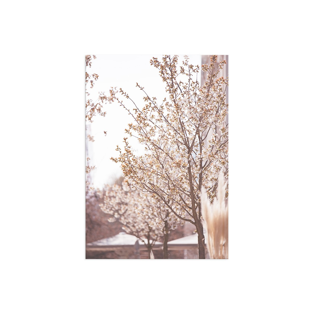 Постер "Blooming tree"