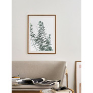 Постер "Eucalyptus"