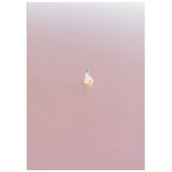 Постер "Fondness"