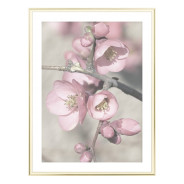 Постер "Cherry blossom"