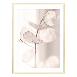 Постер "Flower"