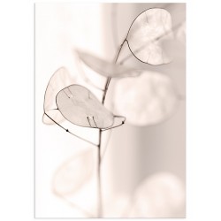 Постер "Flower"