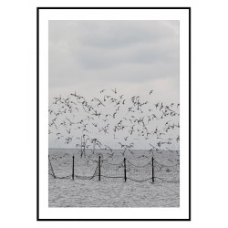 Постер "Seagulls"