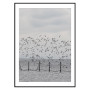 Постер "Seagulls"