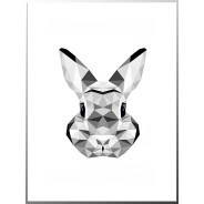 Постер "Rabbit"