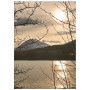 Постер "Sunset"