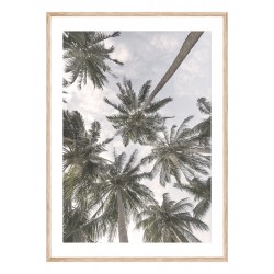 Постер "Palm"