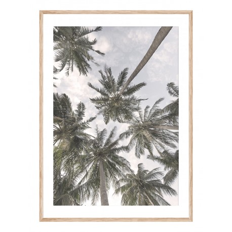 Постер "Palm"