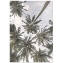 Постер "Palm"