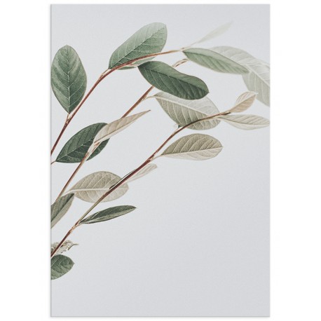 Постер "Leaf"