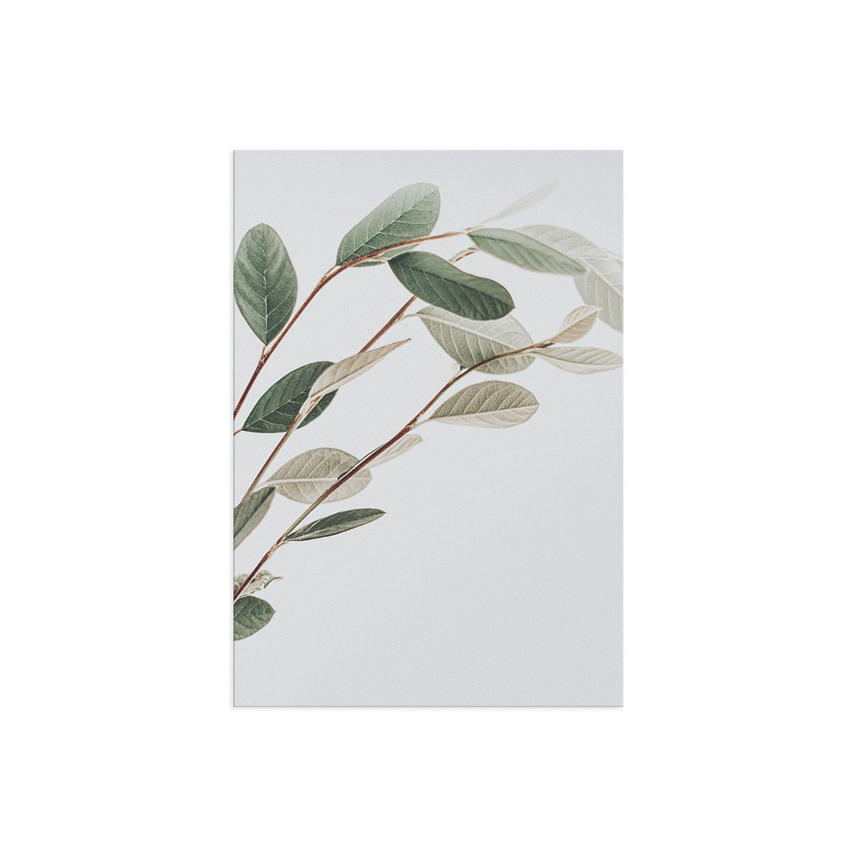 Постер "Leaf"