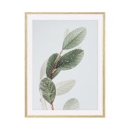 Постер "Leaf"