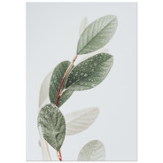 Постер "Leaf"