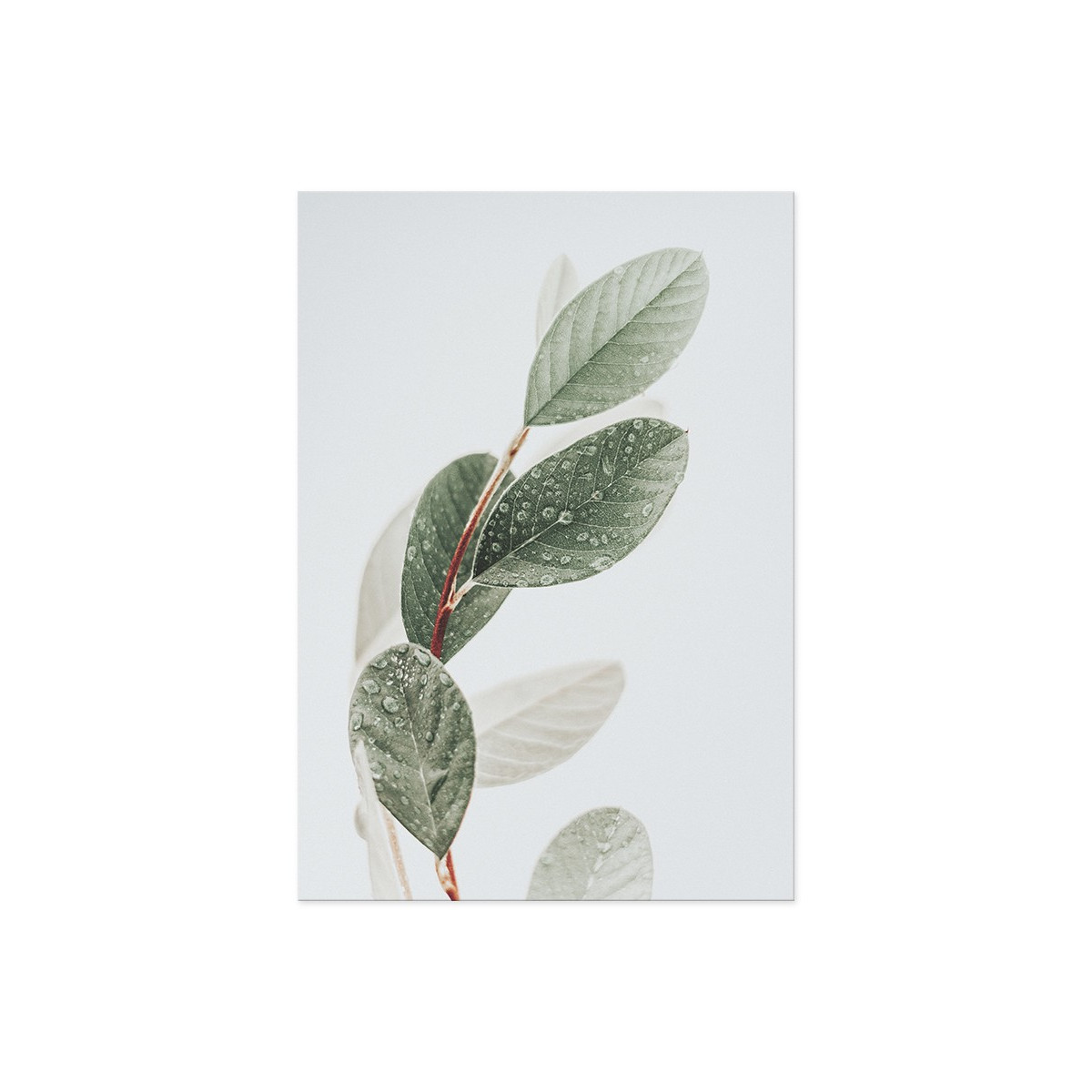 Постер "Leaf"