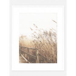Постер "Autumn herbs"