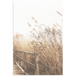 Постер "Autumn herbs"