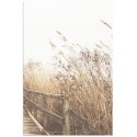 Постер "Autumn herbs"