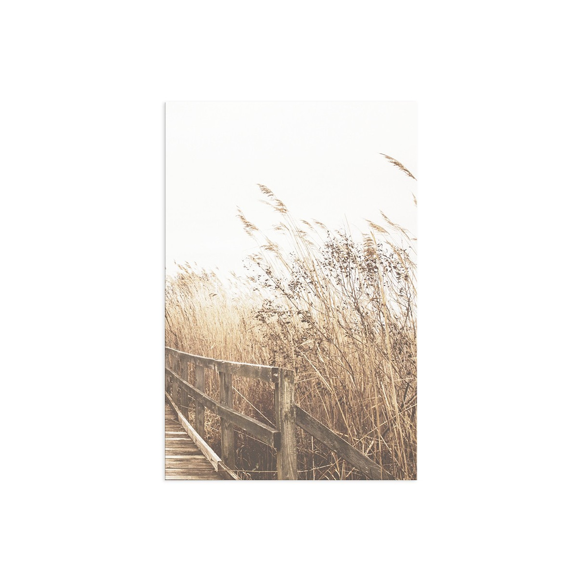 Постер "Autumn herbs"