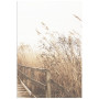 Постер "Autumn herbs"
