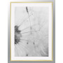 Постер "Dandelion"