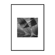 Постер "Sheet"