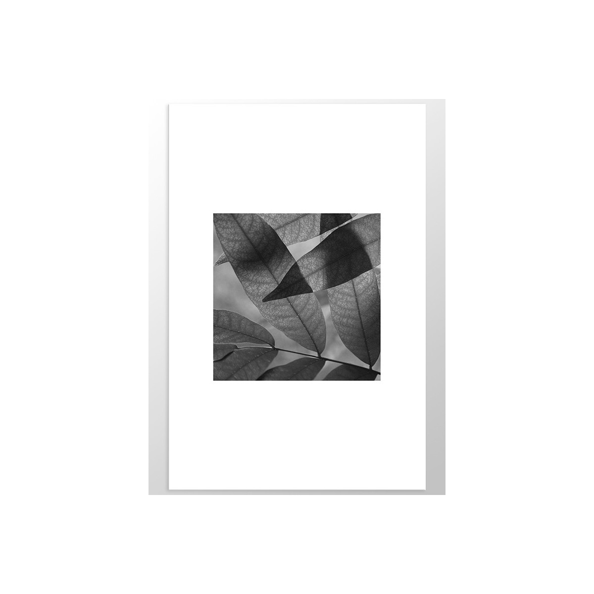 Постер "Sheet"