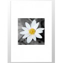 Постер "Flower"