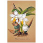 Постер "Collection Orchids"