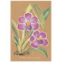 Постер "Collection Orchids"