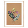 Постер "Collection Orchids"