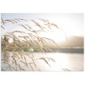 Постер "Nature"